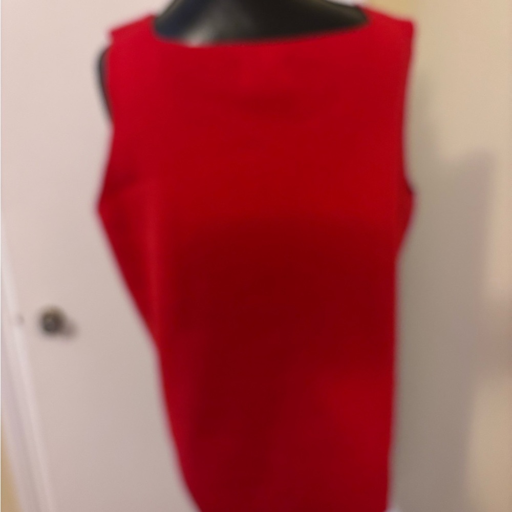 DESIGNER ORIGINALS Red Sleeveless Top with Floral Embroidery - Picture 5 of 7